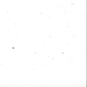 Meet your Posher, Wesley